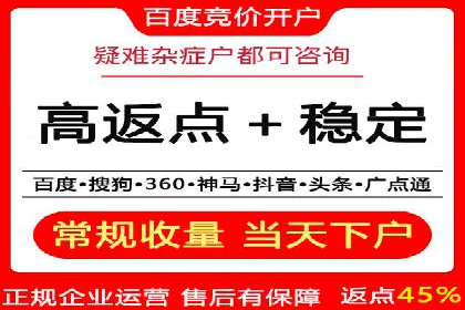 网络推广竞价策略案例分析